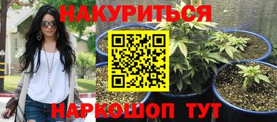 a pvp Заводоуковск