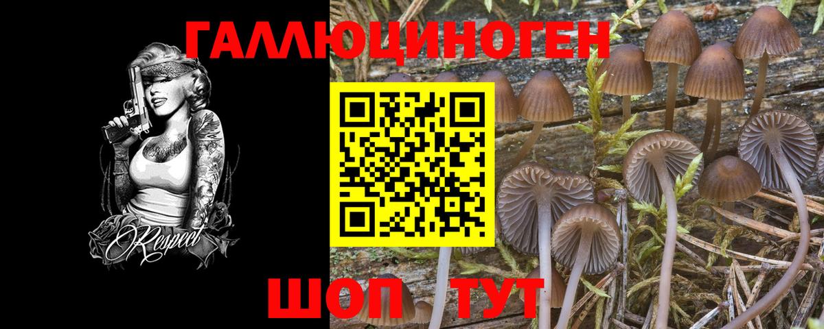 Псилоцибиновые грибы GOLDEN TEACHER Набережные Челны