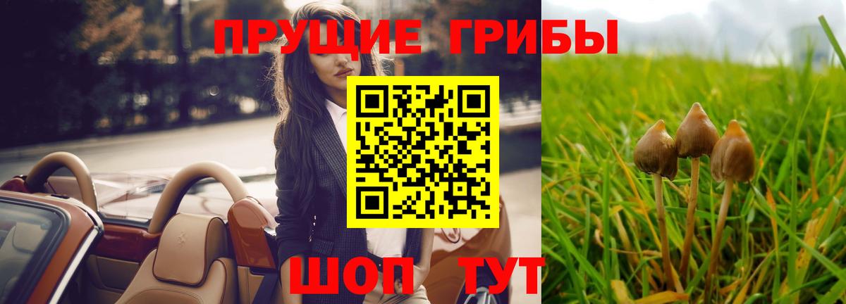 Набережные Челны  Галлюциногенные грибы Psilocybe  Вход с VPN 